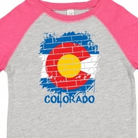 Инктастични Графити Колорадо Државно Знаме Подарок Дете Момче Или Мало Девојче Маица